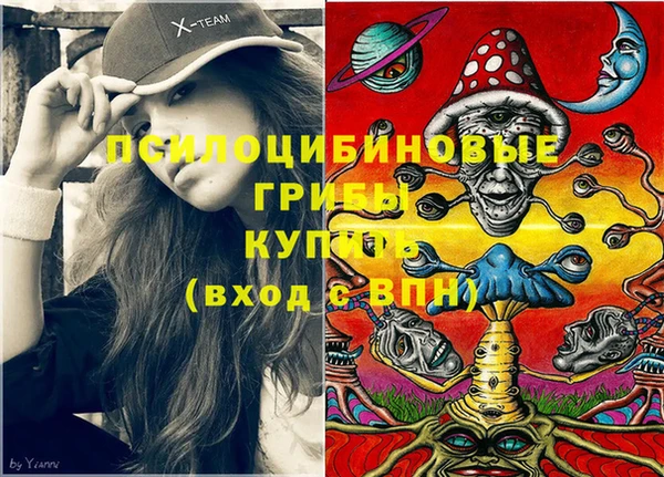 винт Аркадак