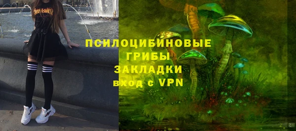 стафф Инта