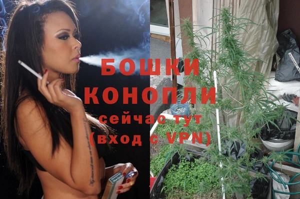 винт Аркадак