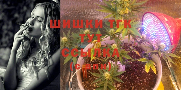 винт Аркадак