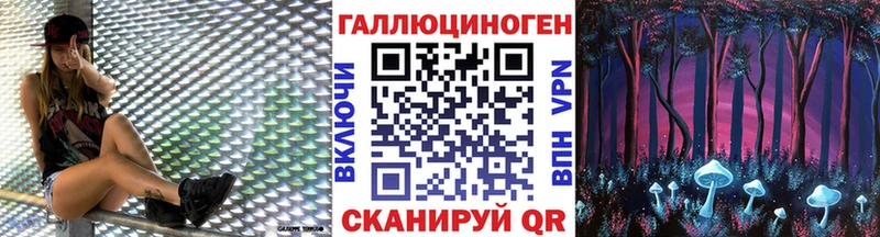Галлюциногенные грибы Cubensis сайты даркнета наркотические препараты Гвардейск